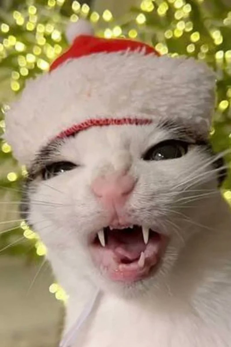 walfyur's tweet photo. @vxunderground @fagamous_prime christmas car https://t.co/VWb6cqMpRg