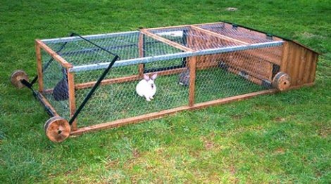 AgriHopper's tweet image. Rabbits as mobile lawn mowers? Let them graze in controlled areas to trim grass naturally while fertilizing the land. It’s low-cost, sustainable, and keeps your rabbits happy and well-fed. Farming meets landscaping! 🌾🐇 #NaturalSolutions