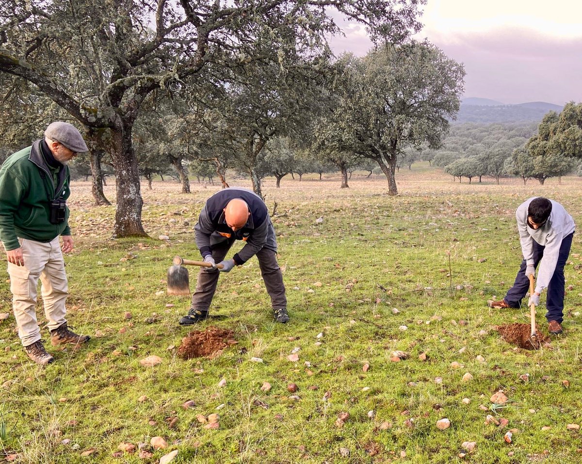 La semana pasada finalizó el programa de #voluntariado de #ParquesNacionales <a href="/oapngob/">Parques Nacionales (OAPN)</a>  en #Monfragüe 👍 Seis personas junto a la coordinación de SEO/BirdLife han realizado tareas relacionadas con las reforestaciones y la señalización entre otras 👏👏👏¡Muchas gracias!