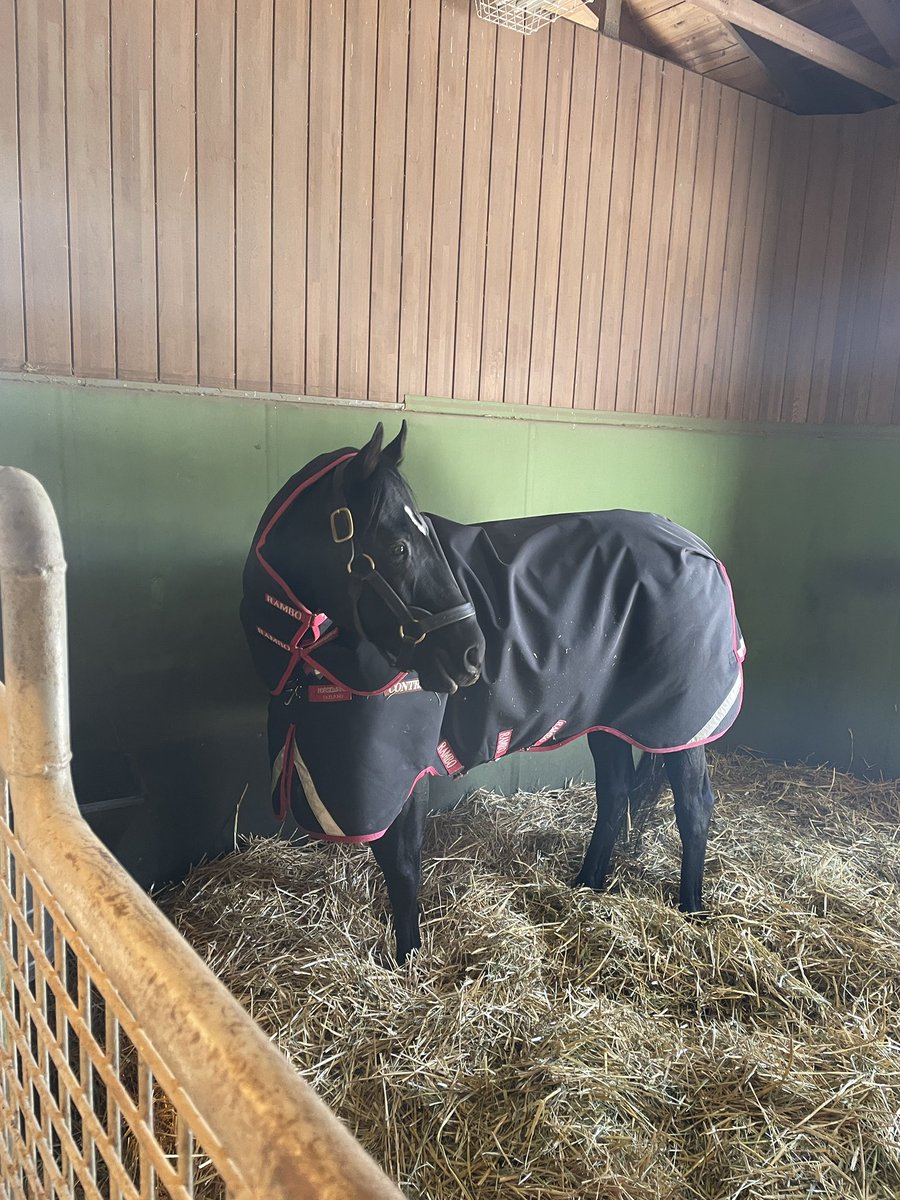 ポーのBOSS tweet media