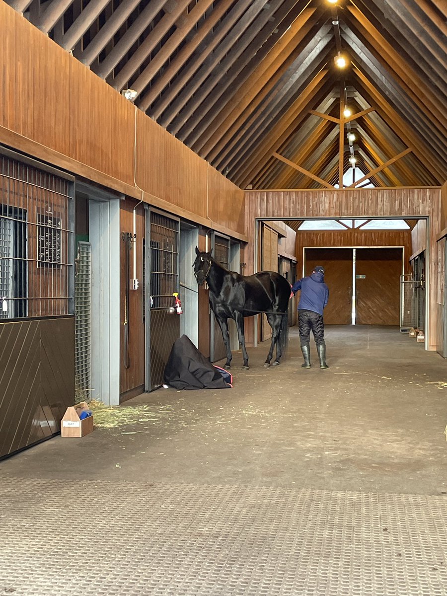 ポーのBOSS tweet media