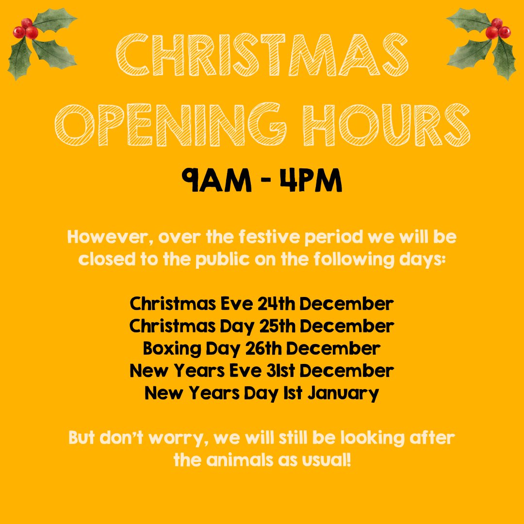 We're taking a break from social media to enjoy the Christmas period ☺️ The Farm will be open as usual,  but please note when we'll be closed for the public. Wishing you all a very merry festive period! See you in the New Year 🧡