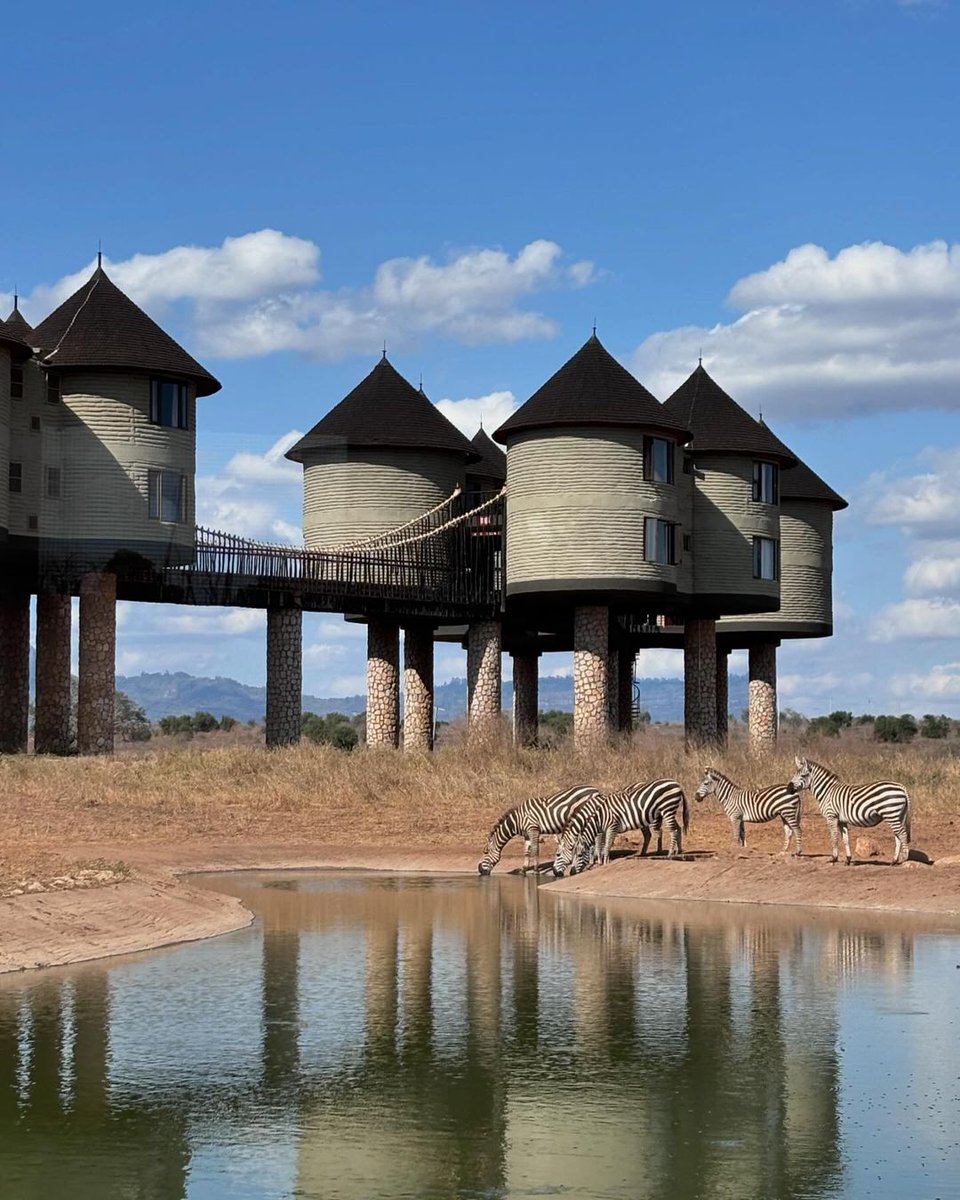Salt Lick Lodge.....
