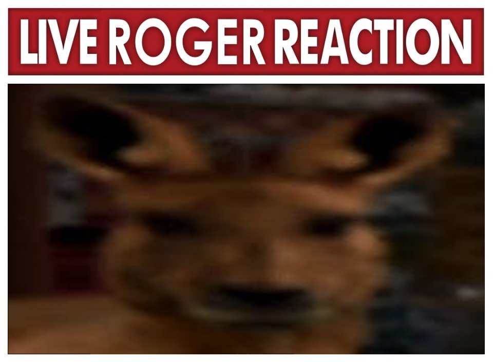 Roger (@absenteeroger) on Twitter photo 