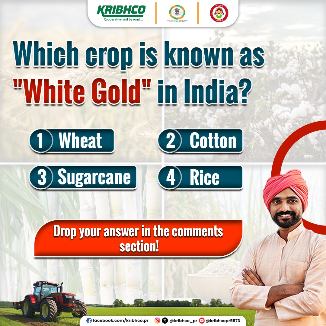 KRIBHCO_PR's tweet image. Can you guess which crop is known as "White Gold" in India? 

Drop your answers in the comments below! 

#WhiteGold #IndianAgriculture #FarmingFacts #SustainableFarming #AgricultureIndia