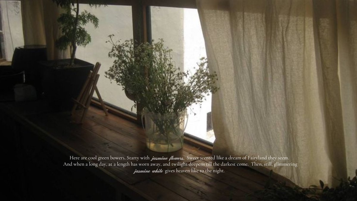 越, ELOISE. tweet media