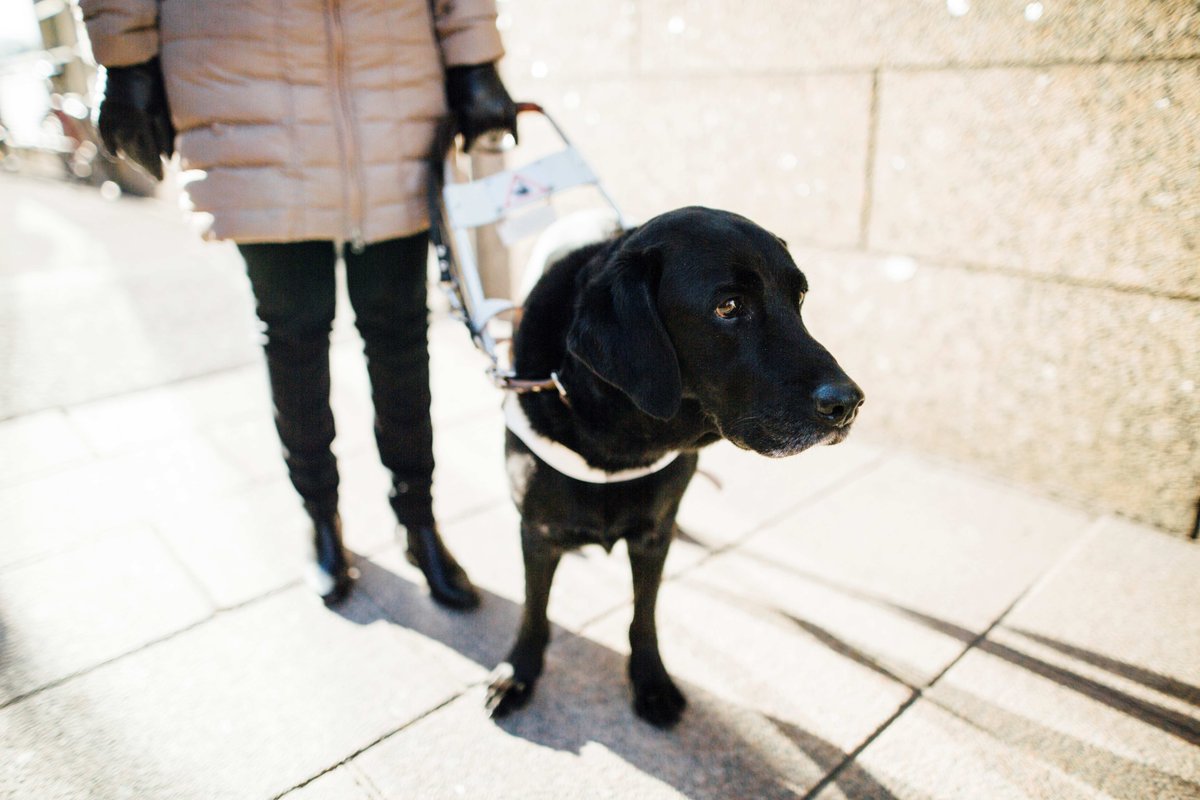 FN:s tredje nationella handlingsprogram för funktionshinderskonventionen har publicerats. Åtgärderna för 2024–2027 främjar rättigheter för personer med funktionsnedsättning inom olika förvaltningsområden. Delaktighet och jämlikhet är i fokus.

Läs mer: 📎stm.fi/-/yk-n-vammais…