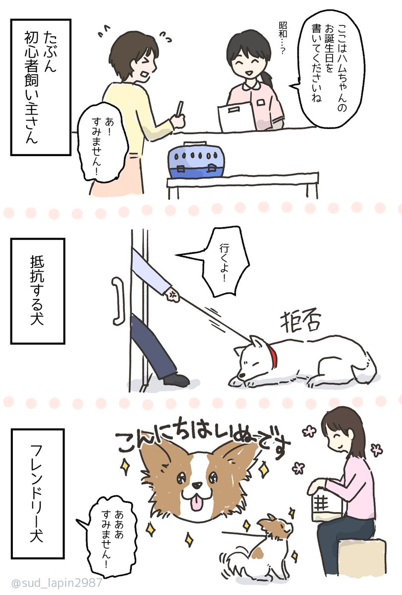 まろんページ マロン🌹 (@maron0911) / X