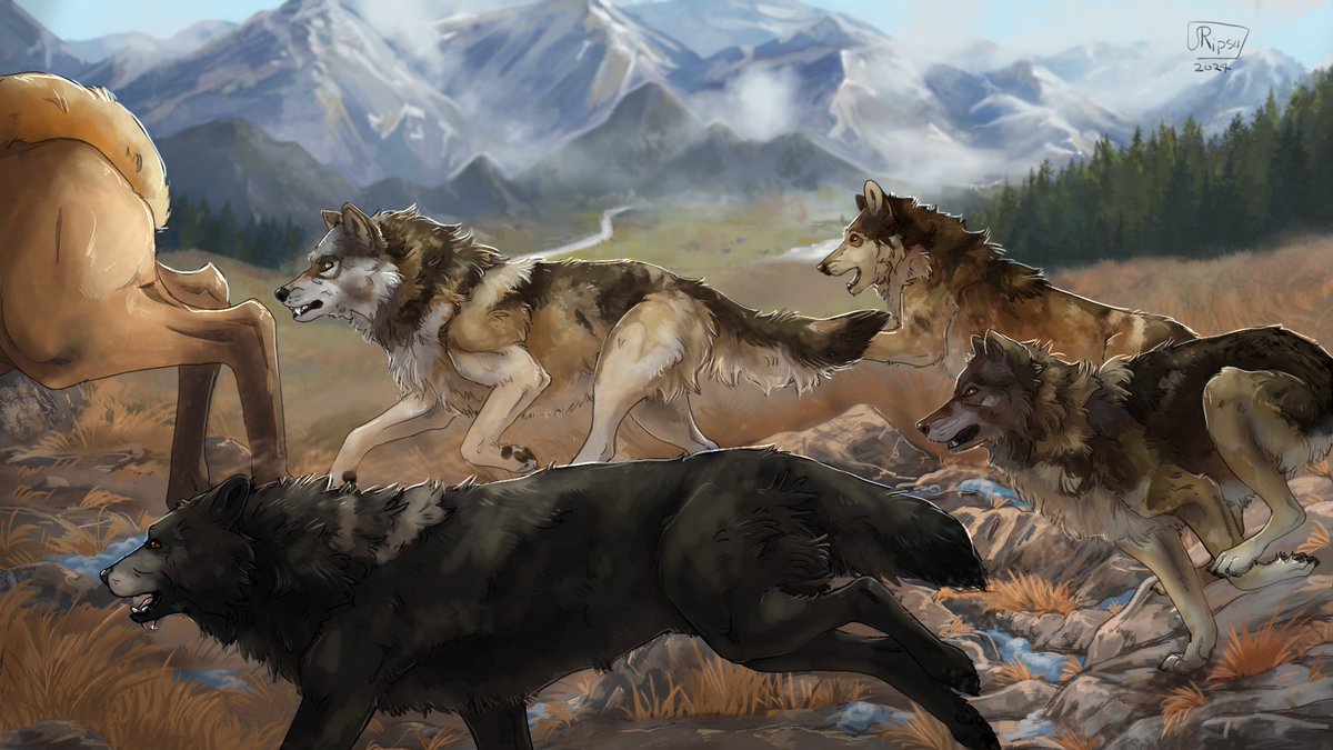 ShadowRipsa's tweet photo. I drew my (wolf’s quest) wolves pack hunting the elk I was able to test a lot of new brushes and improved my knowledge of ClipStudio

This is my favorite art of the year https://t.co/5VWRGoK50d