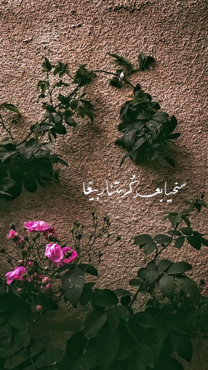 سنحيا بعد كُربتنا ربيعاً🤍..