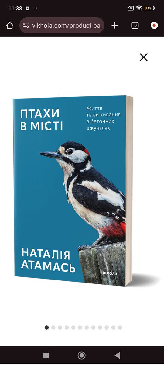 q_kippli's tweet photo. @irinikostyshina Ох йомайо, які жахливі дизайни
Порівняти стару обкладинку, яка пропонує цікаве та нетипове бачення теми птахів та міста і нову, ну, просто з дятлом...
Чи то дизайнер Володимир Гавриш пішов з Віхоли, чи що https://t.co/fUc9UPHAMo