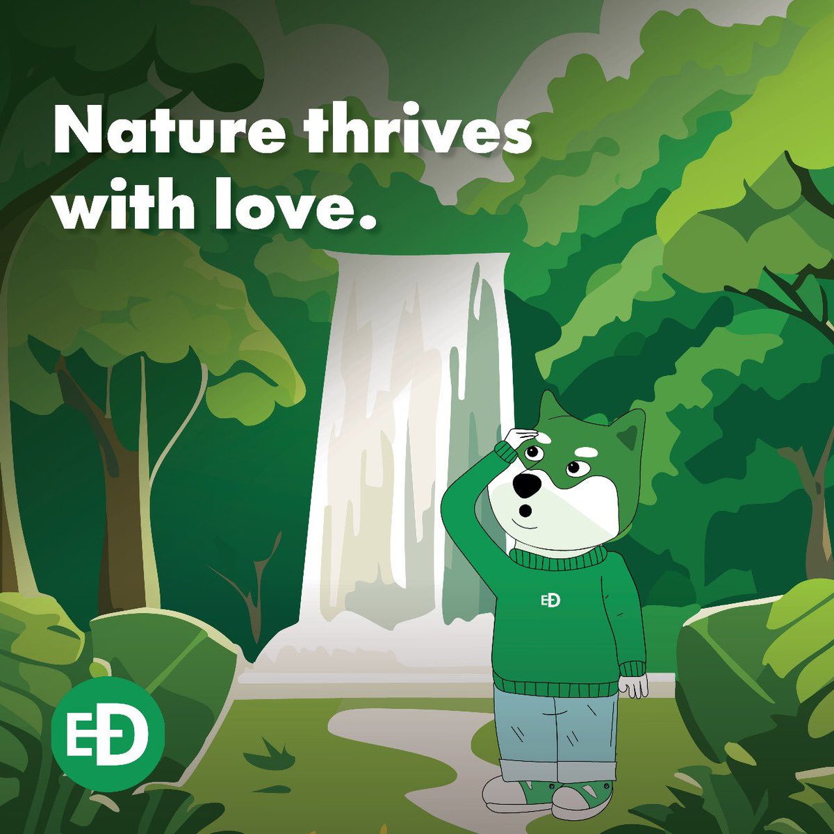 ecodoge_token's tweet photo. @ecodogecrypto 🍀🌿 https://t.co/iihZH1HiDH