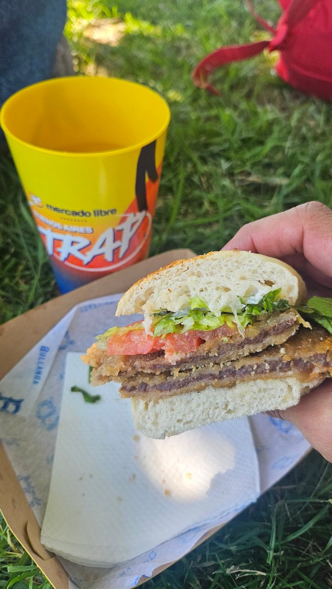 mochoviruel's tweet photo. Que fruta noble el sanguche de milanesa #BSASTRAP https://t.co/uyBPCVnp8h