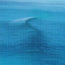 station to station tweet media