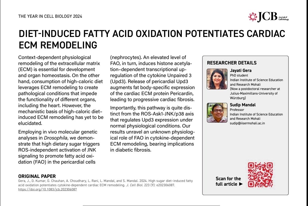 Jayati Gera (@gera_jayati) on Twitter photo Thank you <a href="/JCellBiol/">Journal of Cell Biology</a> <a href="/RockUPress/">Rockefeller U. Press</a> for featuring our work in THE YEAR IN CELL BIOLOGY annual collection 2024. Truly grateful for this honor 😇🥰
Thanks team Sudip <a href="/LolitikaMandal/">Lolitika Mandal</a> <a href="/kr_dheeraj01/">Dheeraj Kumar</a> <a href="/Chauhan24Gunjan/">Gunjan Chauhan</a> <a href="/Ad_rushh/">Adarsh Choudhary</a>. This would not have been possible without all of you 🥂🥂 Thank you <a href="/JCellBiol/">Journal of Cell Biology</a> <a href="/RockUPress/">Rockefeller U. Press</a> for featuring our work in THE YEAR IN CELL BIOLOGY annual collection 2024. Truly grateful for this honor 😇🥰
Thanks team Sudip <a href="/LolitikaMandal/">Lolitika Mandal</a> <a href="/kr_dheeraj01/">Dheeraj Kumar</a> <a href="/Chauhan24Gunjan/">Gunjan Chauhan</a> <a href="/Ad_rushh/">Adarsh Choudhary</a>. This would not have been possible without all of you 🥂🥂