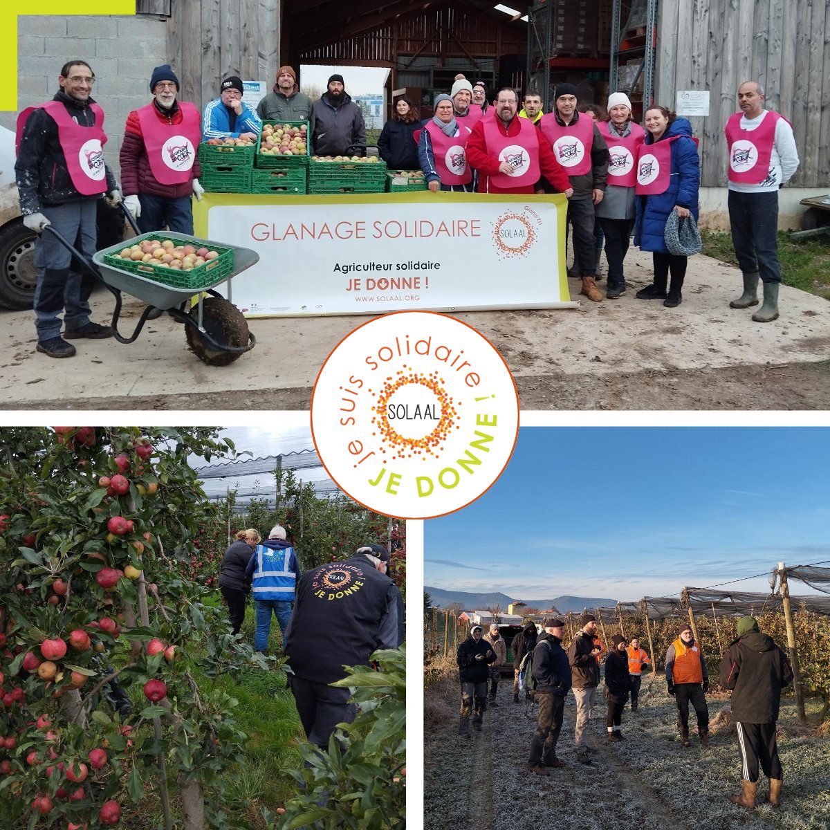SOLAAL Grand Est (@solaalgrandest) on Twitter photo Merci à Verexal qui a ouvert ses portes aux associations d’#aidealimentaire pour 4⃣ #glanagesolidaires de🍎
6⃣,5⃣tonnes pour le <a href="/SecoursPop/">Secours populaire</a> <a href="/BanquesAlim/">Banques Alimentaires</a> <a href="/restosducoeur/">Les Restos du Coeur</a>
Merci à Tunaweza et au <a href="/CFA/">CFAmedia</a> Agricole du Bas-Rhin pour les 💪#DonAgricole #alimentationpourtous #solidarité #ESS Merci à Verexal qui a ouvert ses portes aux associations d’#aidealimentaire pour 4⃣ #glanagesolidaires de🍎
6⃣,5⃣tonnes pour le <a href="/SecoursPop/">Secours populaire</a> <a href="/BanquesAlim/">Banques Alimentaires</a> <a href="/restosducoeur/">Les Restos du Coeur</a>
Merci à Tunaweza et au <a href="/CFA/">CFAmedia</a> Agricole du Bas-Rhin pour les 💪#DonAgricole #alimentationpourtous #solidarité #ESS