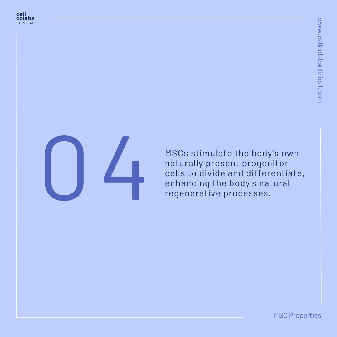 cellcolabsclin's tweet photo. Mesenchymal Stem Cells are known for their regenerative properties, making them a promising resource in regenerative medicine.

Here’s a summary of their regenerative mechanisms, as shown by research. https://t.co/zC7MHuGMVG