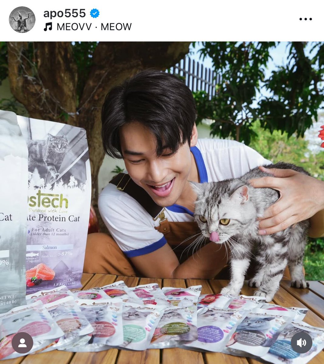 ApoNattawinofc's tweet photo. สิ่งนี้น่ารักกกก เมี๊ยววว~~ 

Ostech อาหารพรีเมี่ยมจากคุณหมอ อร่อยทั้งเม็ดและเปียก ดูแลสุขภาพให้น้องเหมียวลูกรักอย่างเต็มที่ 😸

APO NATTAWIN WITH OSTECH

@Nnattawin1 @OstechThailand 
#ApoNattawin #OstechXApo #Ostech #ออสเทค #ออสเทคน้องแมวก็รักน้องเหมียวก็เลิฟ
IG : apo555 update https://t.co/ll38jpGMOU