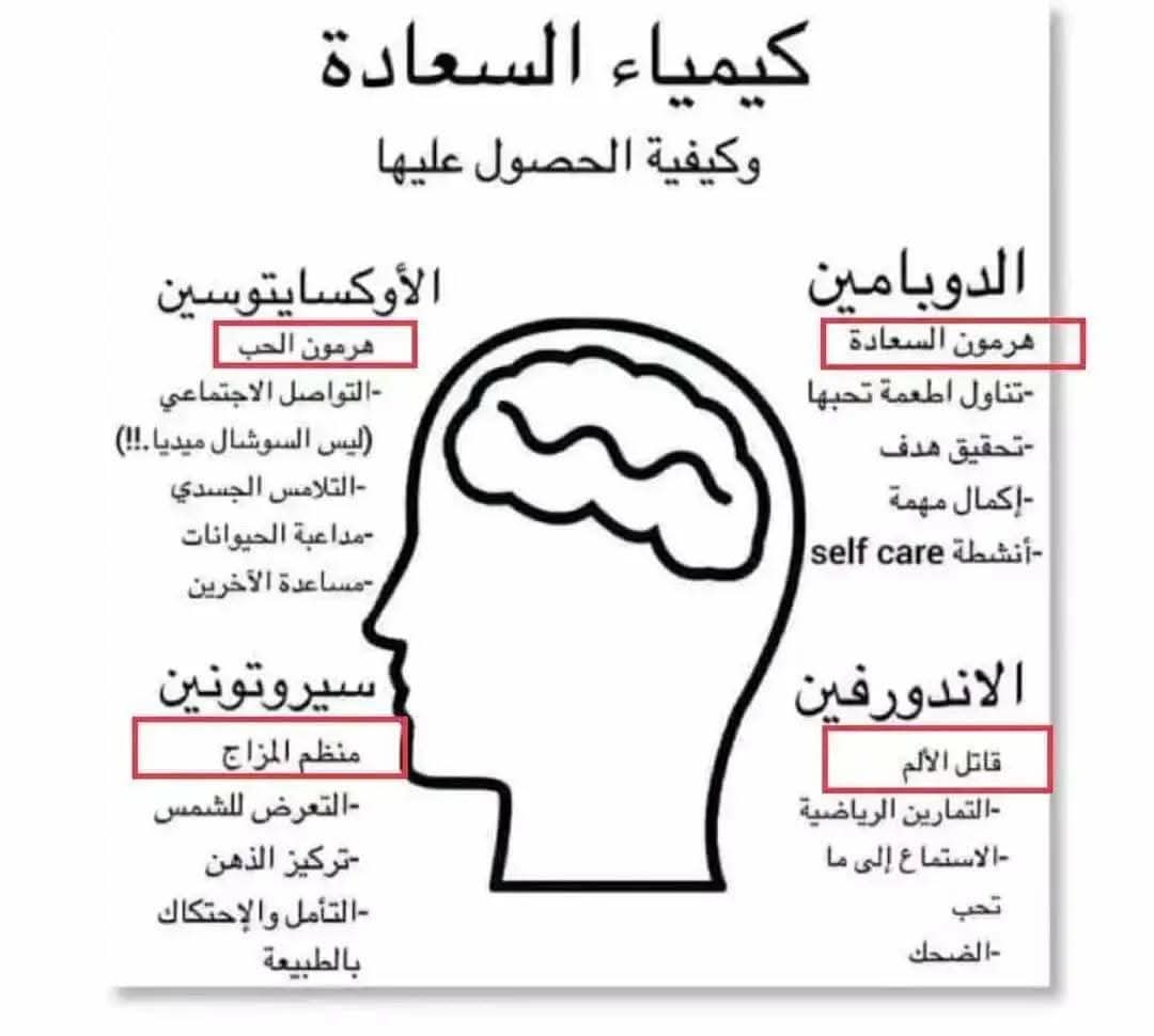 1_psychologists's tweet photo. #كيمياء_السعادة https://t.co/P3GWBEfBv3