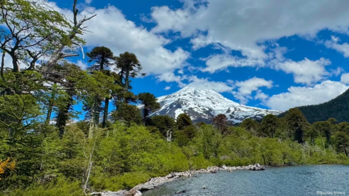 Indigenous Led Conservation tweet media