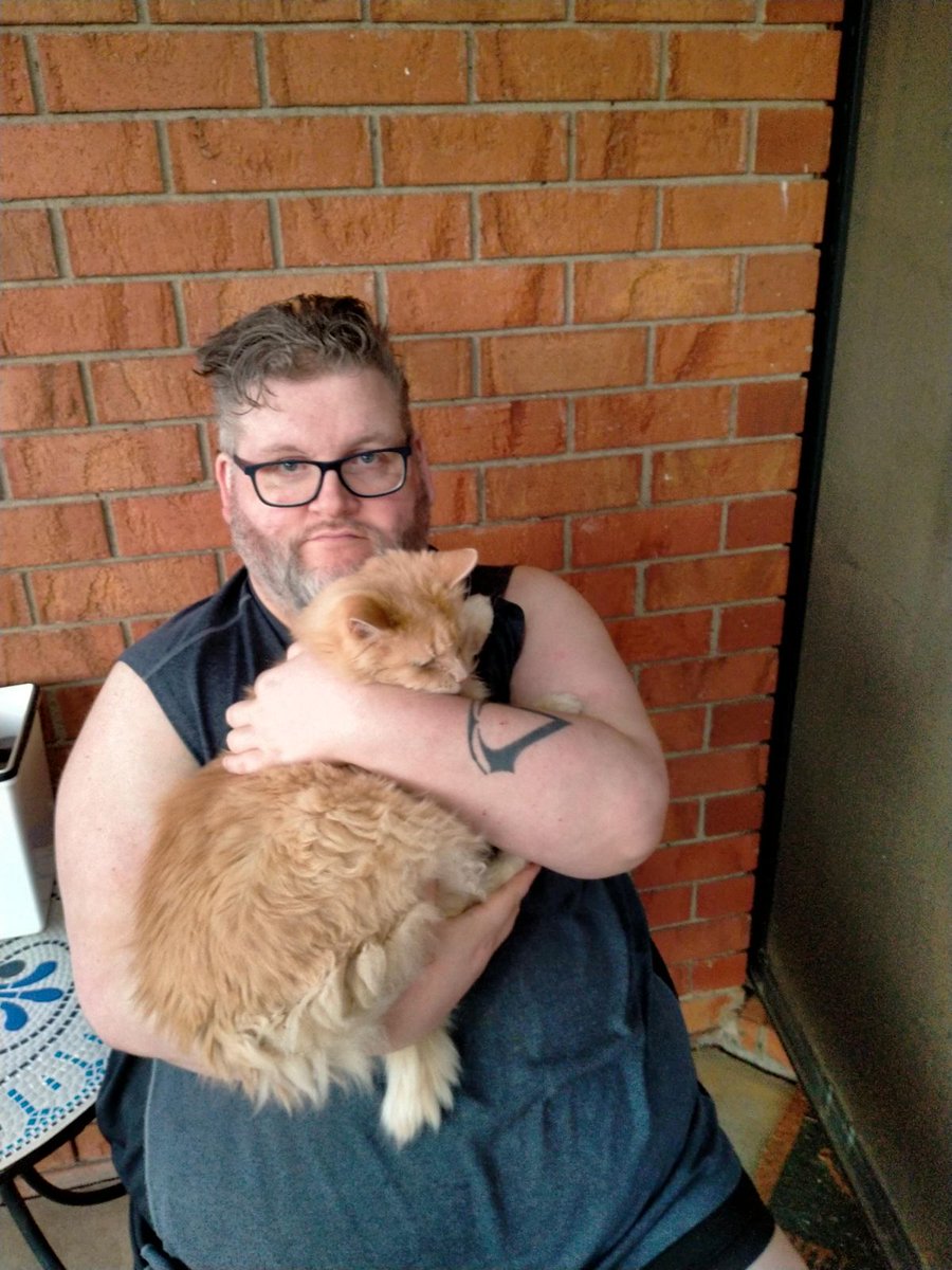 I Sammy is habing pawch cuddol with mine daddy. Lubly way to spend ebenin tims
#CatsOfTwitter #CatsOnTwitter #CatsOfX #Sammycuddolboi #DisSammyDaddy #SammyCuddolIsBestestCuddol