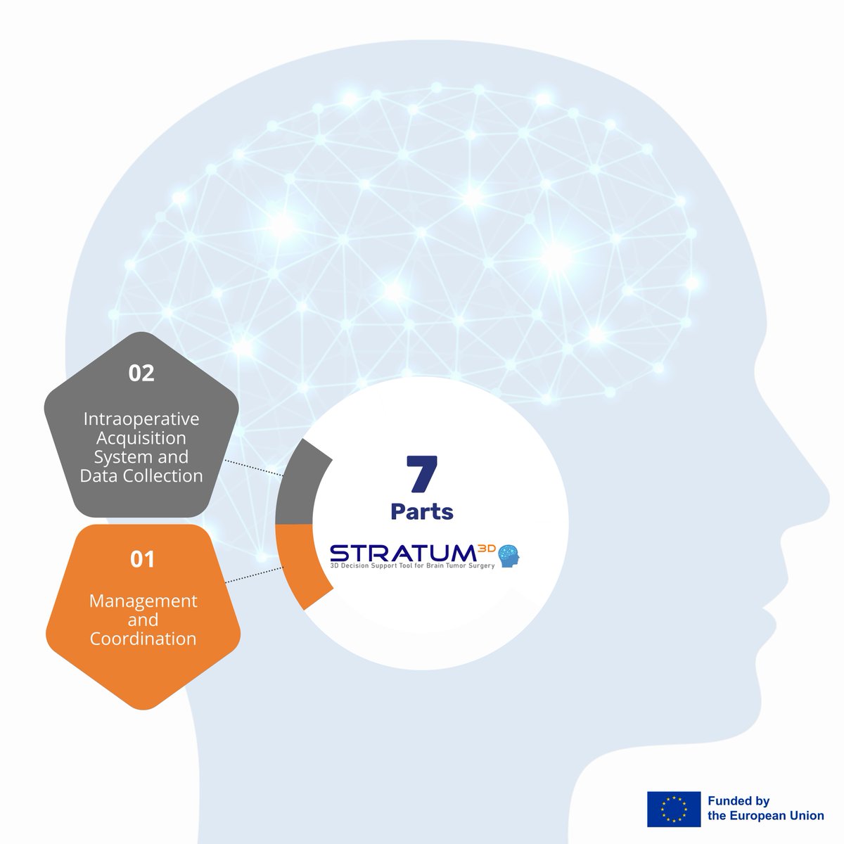 stratum_eu's tweet photo. 𝗣𝗮𝗿𝘁 𝟮, led by OPTOMIC, aims to define both medical and technological specifications for the STRATUM tool and develop the innovative data acquisition systems while establishing protocols and obtaining ethical approvals for data collection.

#STRATUMEU #EUfunded #HorizonEU https://t.co/ya5Qhc4jhv