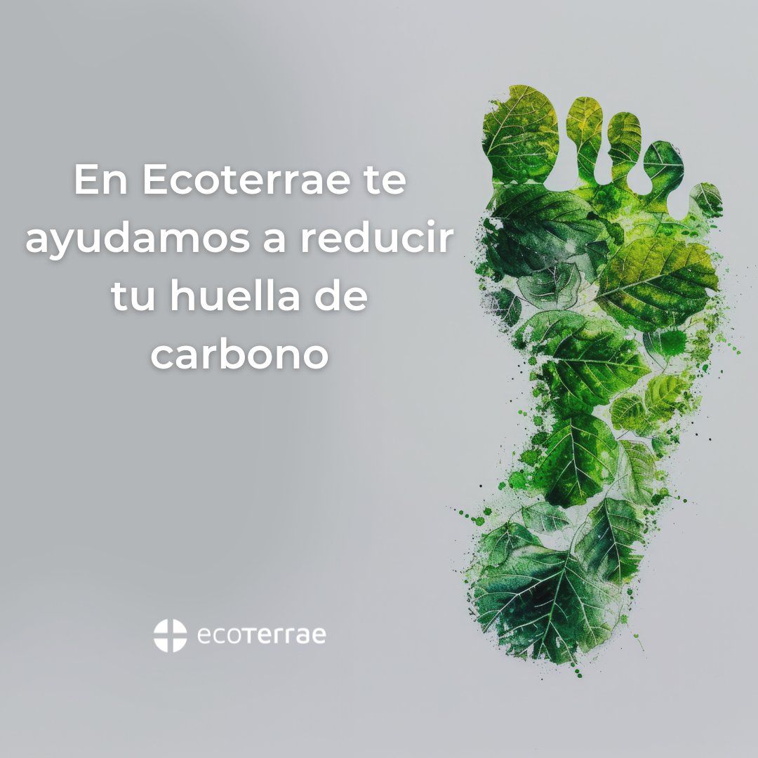 Ecoterrae tweet media