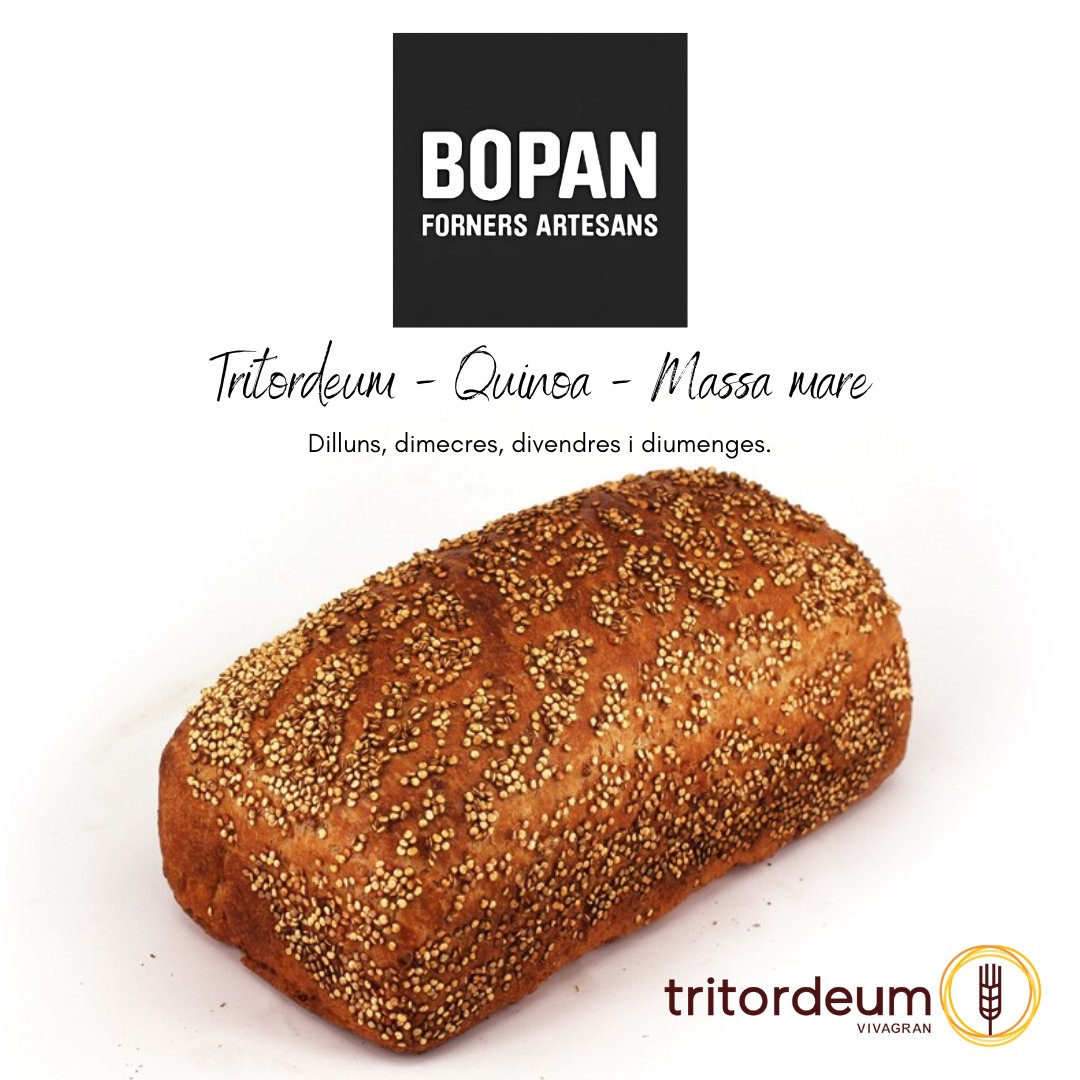🌾 Descubre el pan de Tritordeum y quinoa de Bopan: tradición e innovación en cada bocado 🥖✨. Más sabor, más salud, ¡sin aditivos! Visítanos en #Barcelona y disfruta de lo mejor de la panadería artesanal. 🏡🍞 #Bopan #Tritordeum #Quinoa