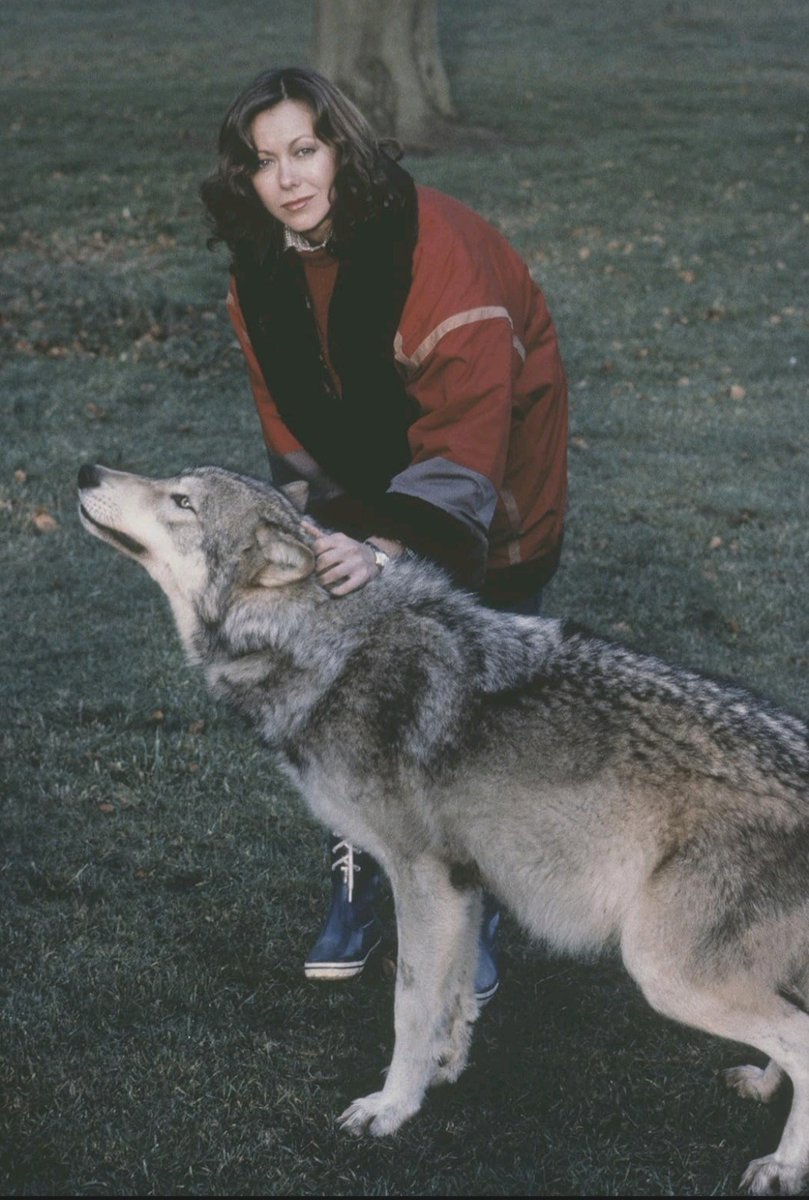 alucard8791's tweet image. &quot;An American Werewolf in London&quot;
#JennyAgutter en el set de filmacion (1981) #JohnLandis #movie