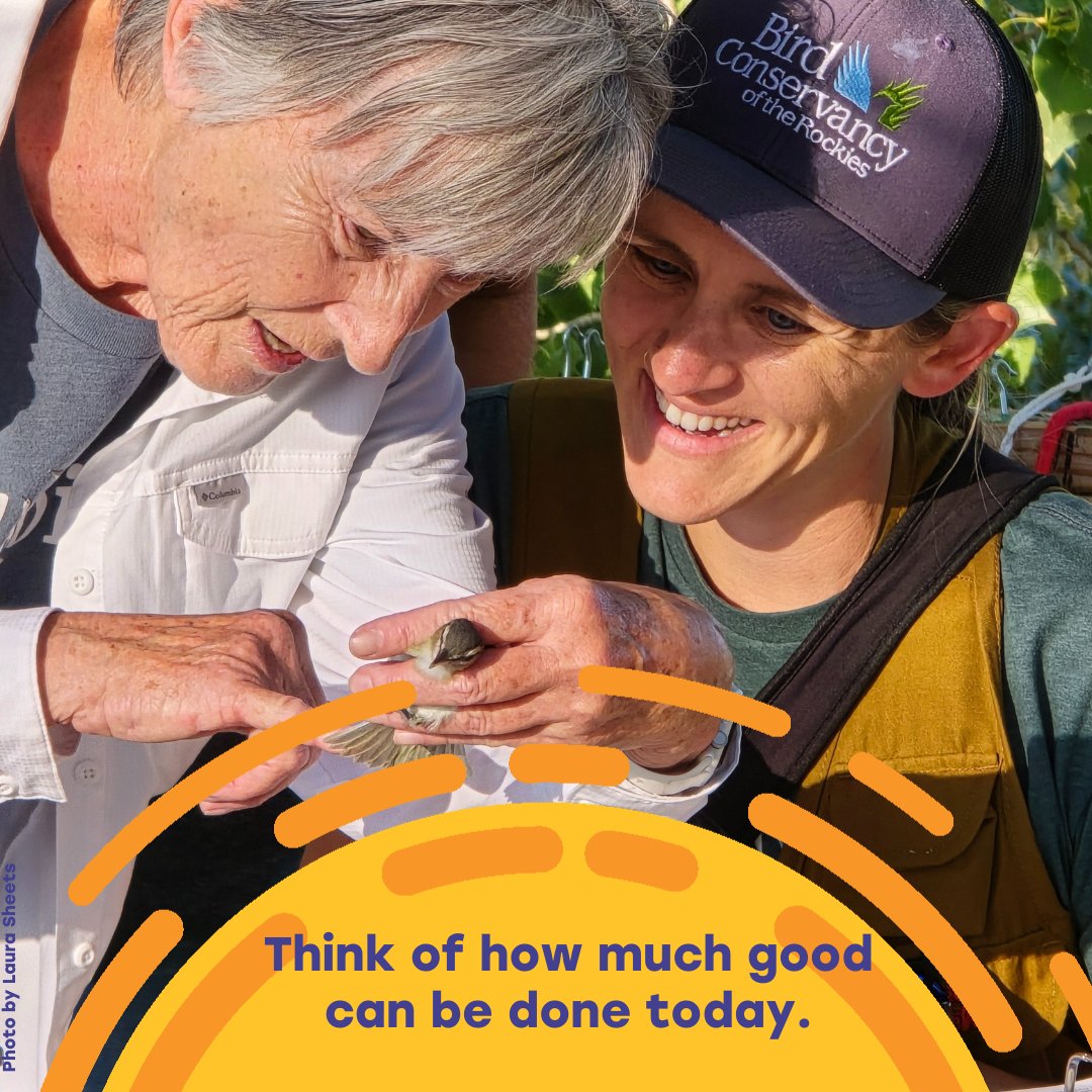 Bird Conservancy of the Rockies tweet media