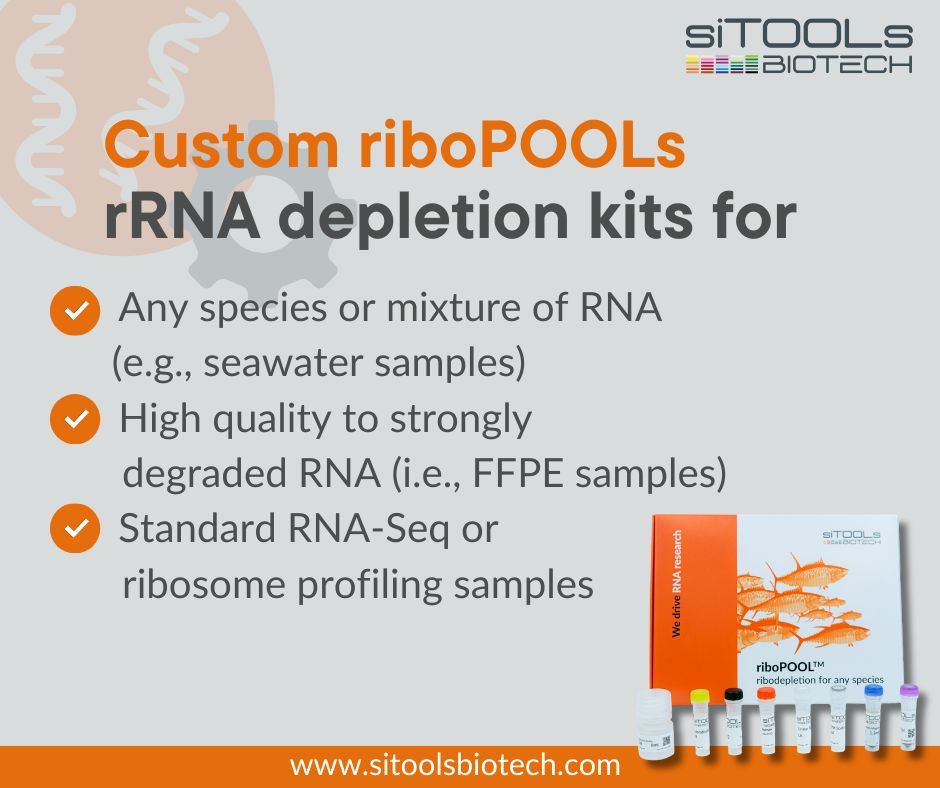 Struggling to find an rRNA depletion solution for your species? Custom riboPOOLs provide tailored solutions to efficiently remove unwanted rRNAs and other abundant RNAs from any organism. Request a quote today: buff.ly/49twye6