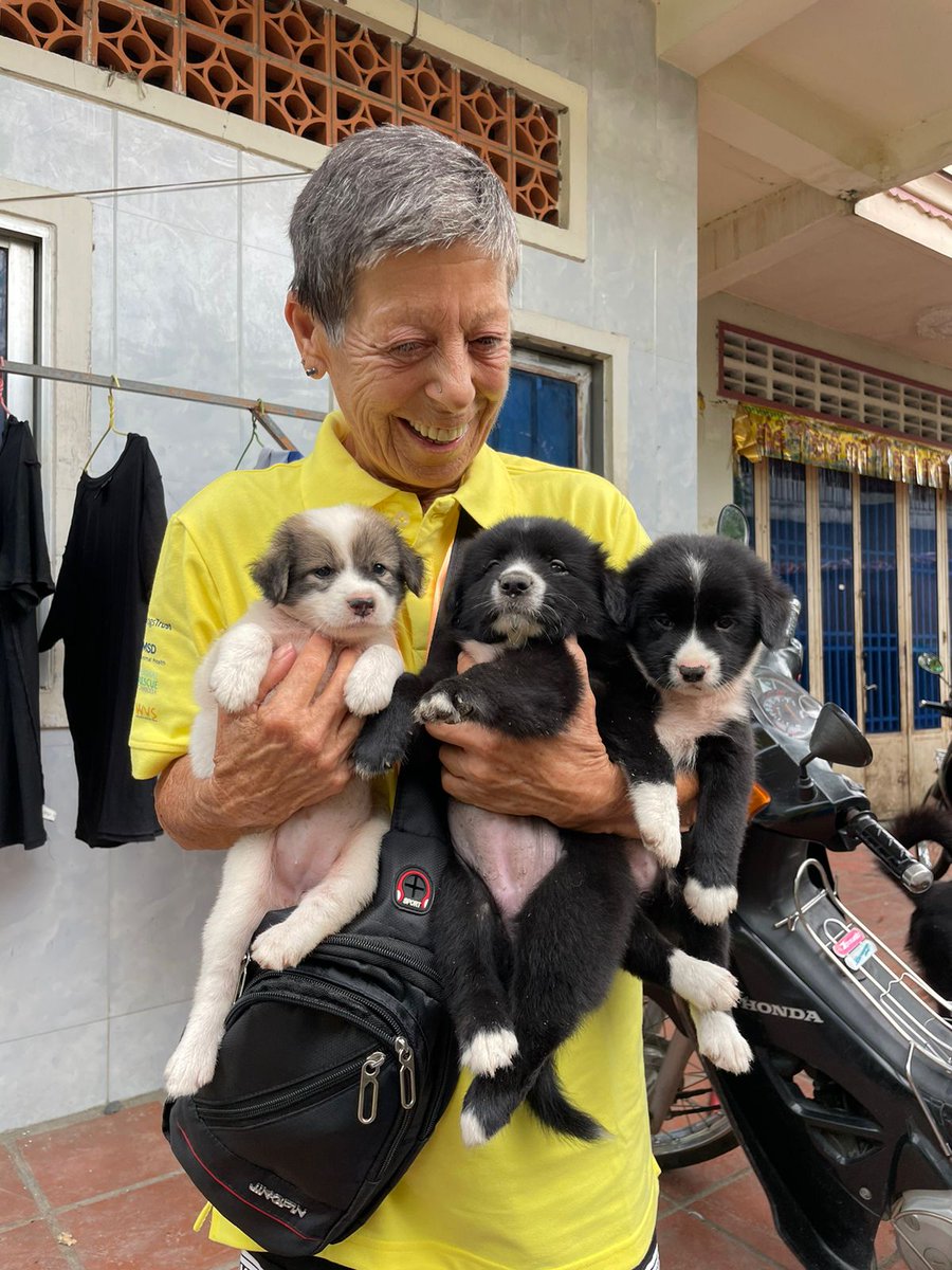 Young Vets Club tweet media