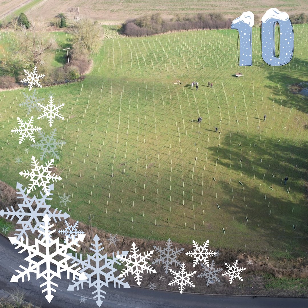 SaxonShipCo's tweet photo. Advent Day 10: Our Saxon Ship Wood saplings can be sponsored as gifts. Each sponsor receives a certificate, limited edition pin badge, website dedication and What3Words location https://t.co/aJFATVezHG #suttonhooship #oaktrees
Tag your own tree #SaxonTreeSearch https://t.co/gEx0y6vCjj