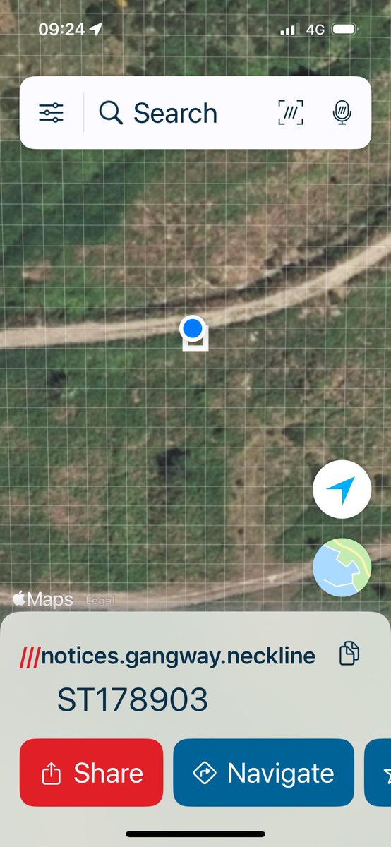 Myles Mylo Thomas tweet media