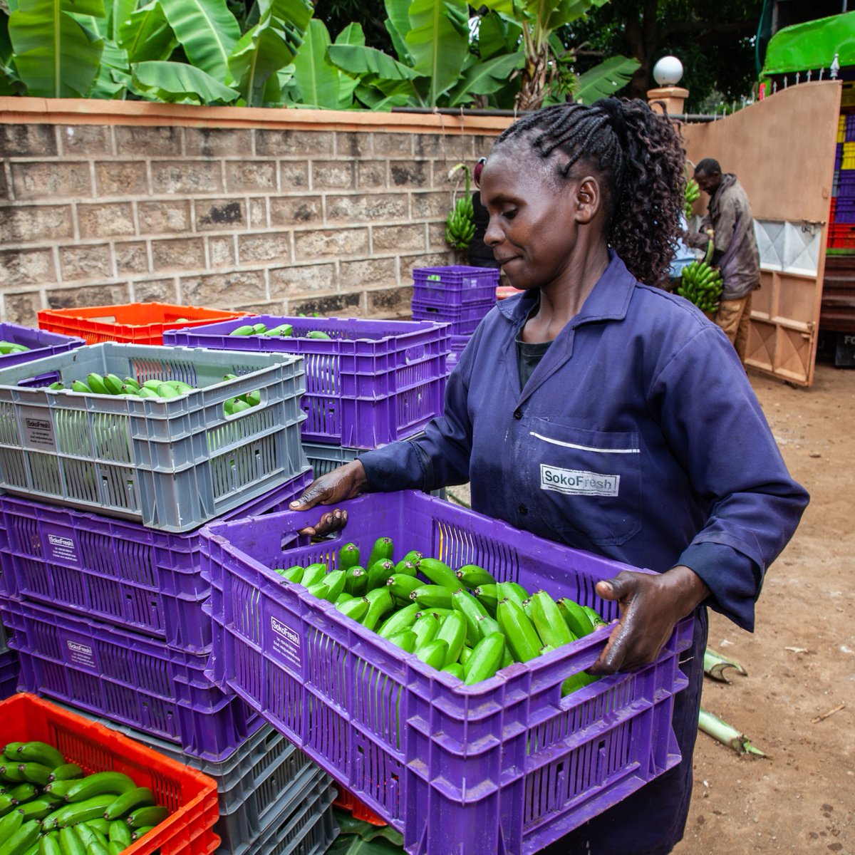 Pioneering climate leaders are bringing solar power solutions to benefit farmers and refugees. Your support could supercharge these clean energy innovations. 

Support us today to boost climate innovation: bit.ly/3CqbnNw

#ClimateSolutions #ClimateAction #CleanEnergy