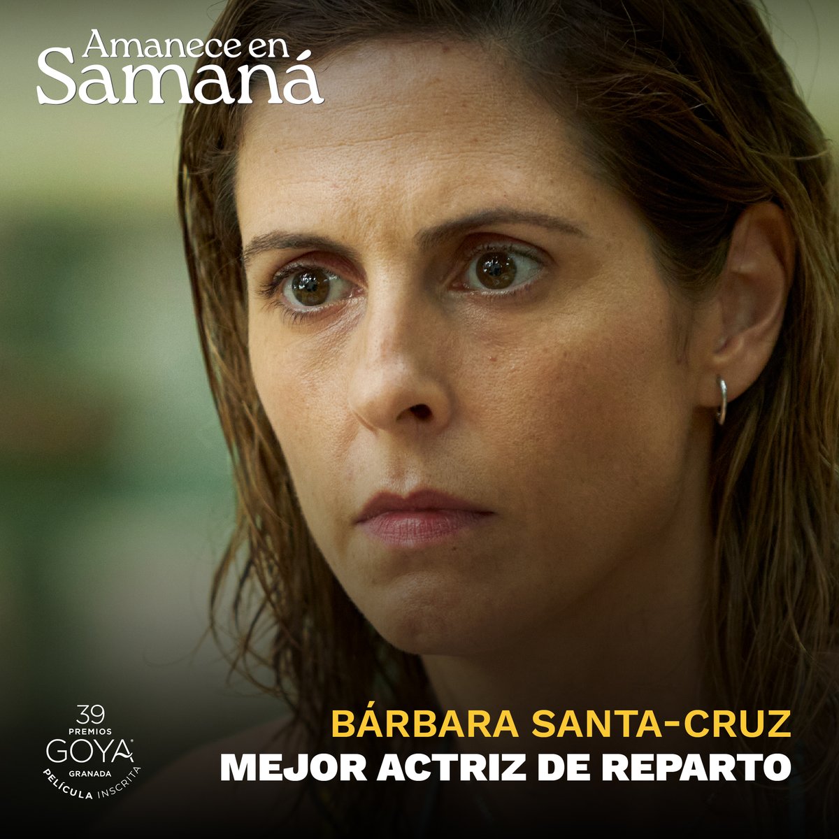 ¡#AmaneceEnSamaná optará a 17 nominaciones en los Premios #Goya2025, incluyendo Mejor Película, Mejor Dirección, Mejor Guion Adaptado y las principales categorías actorales!