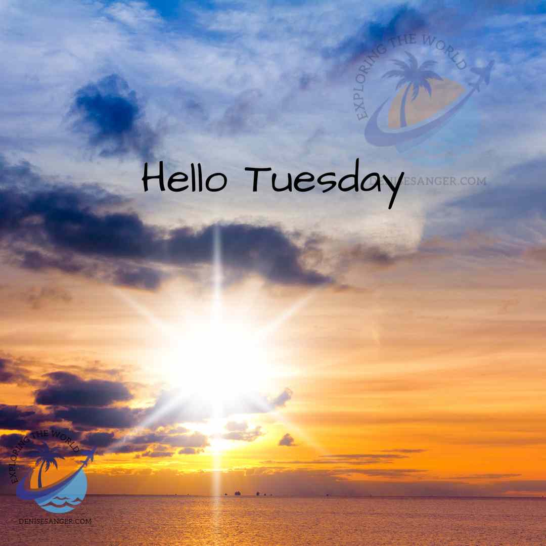 TravelDenise's tweet photo. Hello Tuesday and Good Morning Everyone! https://t.co/d58HVYyjyi