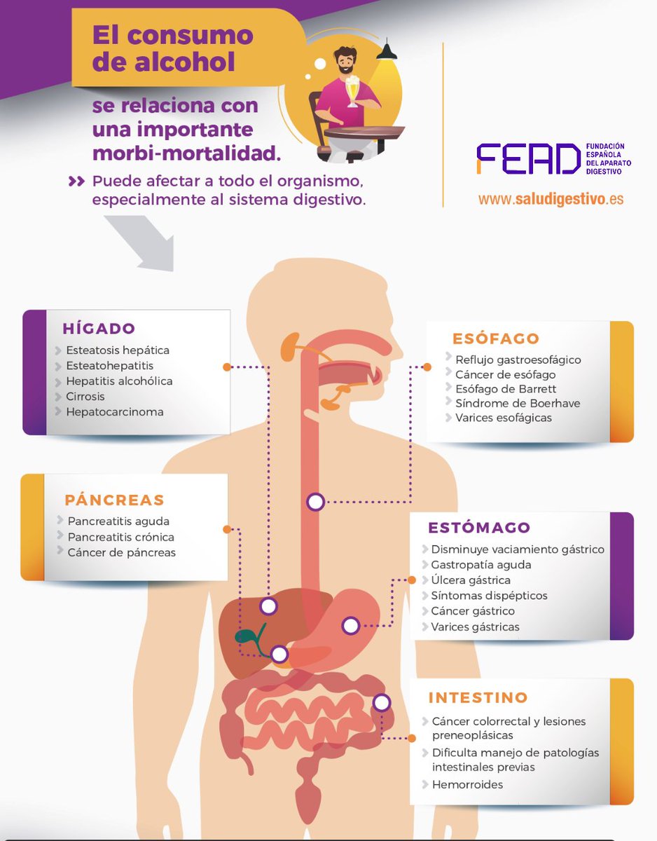 saludigestivo's tweet photo. 🔴 El alcohol es cancerígeno desde la primera gota

⚠️ Está asociado con hasta 200 enfermedades, entre ellas, varios tipos de cáncer como el de mama, colon, ano, boca o hígado

⚠️No existe el consumo moderado, lo mejor es no beber

Más información en https://t.co/3d6u2wvA7t https://t.co/OA4f15Hvrk
