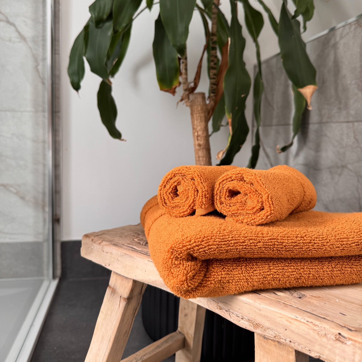 This NEW caramel colour is perfect for adding warmth and style to your bathroom decor. 🫧🧡

Shop the full collection of buttery soft Egyptian Cotton towels.👇
bit.ly/ZT-Towels