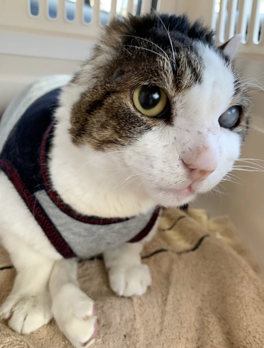 仕事が終わらないの助けて😭
ぼくの出番？