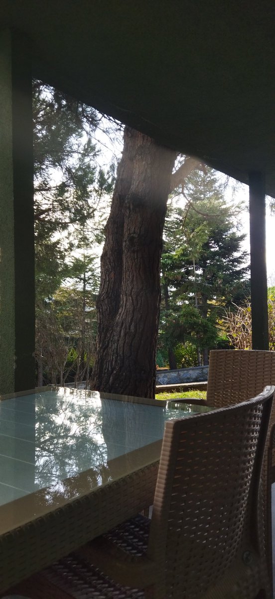 Burhan (@fettahefkarl) on Twitter photo 