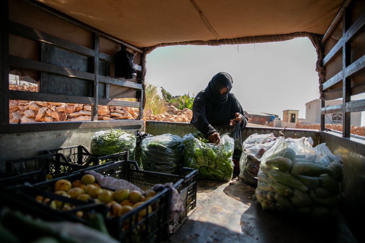 UNmigration's tweet photo. For food
For schooling
For their children

After 13 years of suffering and a recent escalation of conflict, cash assistance remains a lifeline for families in Northwest Syria.

Funding is essential to ensure these families' survival.

https://t.co/fzPjWbmnE2 https://t.co/dUNbyYlYgl