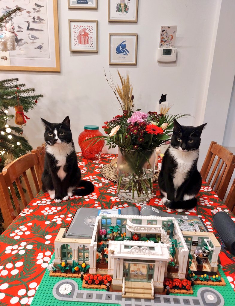 Rogue & Ranger tweet media