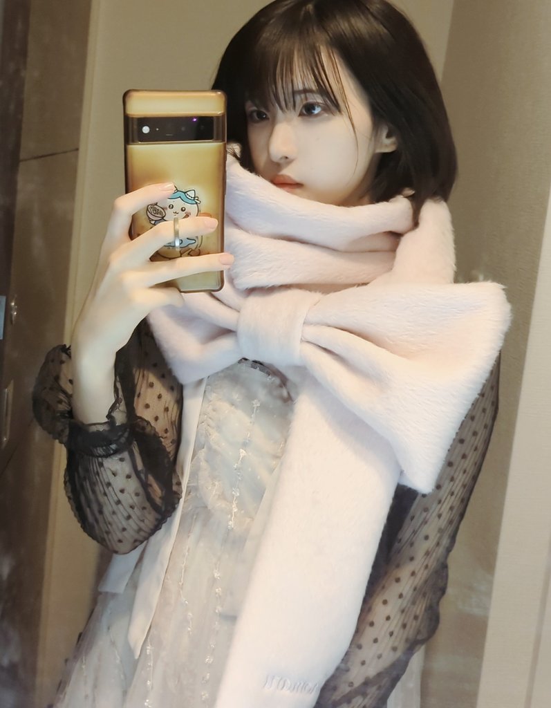 中はこうなっている 