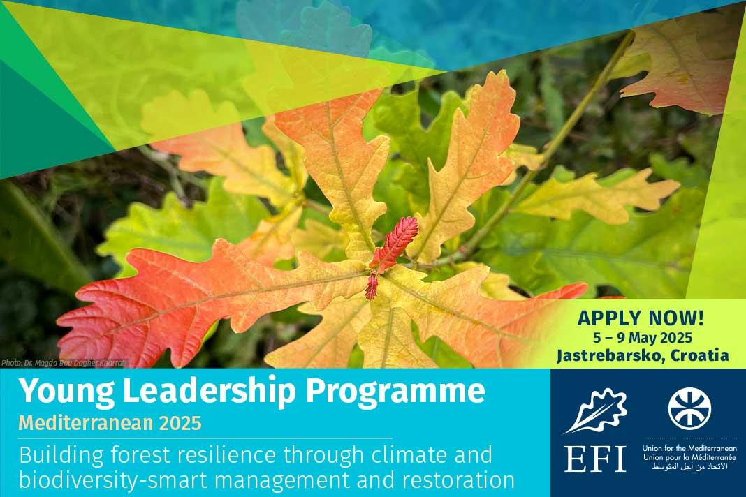 EFI Mediterranean Facility (@efimedfacility) on Twitter photo 📣 Are you a young #forest researcher or practitioner?
🌟 We are looking for you! 🌟
There are only five days left to apply for <a href="/europeanforest/">European Forest Institute (EFI)</a>'s Young Leadership Programme 2025!
📝 What are you waiting for? Apply for the #YLPMED 2025 by 15 Dec. ➡️ efi.int/ylp-med-2025 📣 Are you a young #forest researcher or practitioner?
🌟 We are looking for you! 🌟
There are only five days left to apply for <a href="/europeanforest/">European Forest Institute (EFI)</a>'s Young Leadership Programme 2025!
📝 What are you waiting for? Apply for the #YLPMED 2025 by 15 Dec. ➡️ efi.int/ylp-med-2025