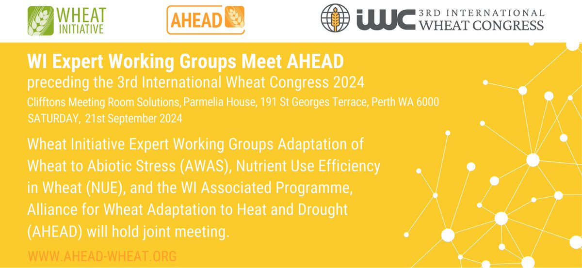 AHEAD (@ahead_wheat) on Twitter photo Thanks to all participants of the Joint meeting of EWG AWAS, NUE and AHEAD at the #IWCPerth2024 we had a great meeting full of interesting discussions.
Find the summary report and the presentations here now! 👇
ahead-wheat.org/events-2024_iw…
<a href="/WheatInitiative/">Wheat Initiative</a> <a href="/rebetzke_0/">Greg Rebetzke</a> <a href="/Dixon_LE/">Laura Dixon</a> Thanks to all participants of the Joint meeting of EWG AWAS, NUE and AHEAD at the #IWCPerth2024 we had a great meeting full of interesting discussions.
Find the summary report and the presentations here now! 👇
ahead-wheat.org/events-2024_iw…
<a href="/WheatInitiative/">Wheat Initiative</a> <a href="/rebetzke_0/">Greg Rebetzke</a> <a href="/Dixon_LE/">Laura Dixon</a>