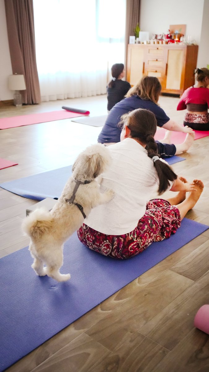 GDNonline's tweet photo. Furry yoga session

Wellness enthusiasts recently enjoyed a ‘furry yoga treat’ with their pets.

The charity event was staged in support of Bahrain Society for the Prevention of Cruelty to Animals (BSPCA).

Read more:
https://t.co/xfF18i3H6j

#gdnonline #furryyoga #bspca https://t.co/zygxvxN0Mj