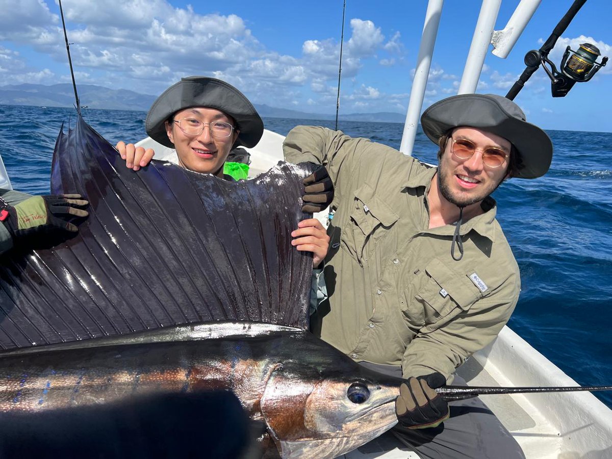 Why would anyone want to live in Panama?
People only move to Panama for tax evasion!

But the reality is…

Only a minority moves to Panama for tax reasons.

Most people who emigrate to Panama do so because:

- They want to retire in a tropical country with lower costs than those