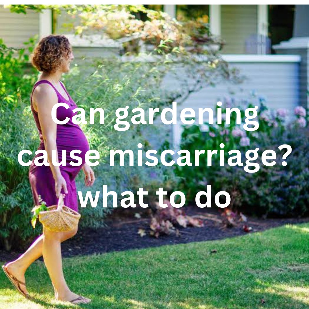 Gardening is safe during pregnancy if precautions are taken. Risks like toxoplasmosis from contaminated soil, exposure to pesticides, or physical strain can be avoided by:
Wearing gloves.
Washing hands after gardening.
Using organic methods.
Avoiding heavy lifting or bending too