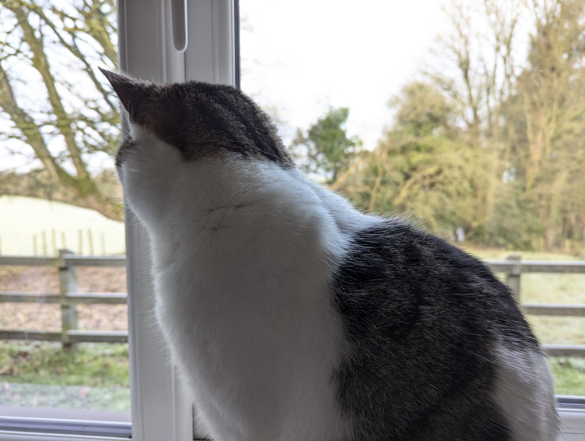 Dave Law tweet media